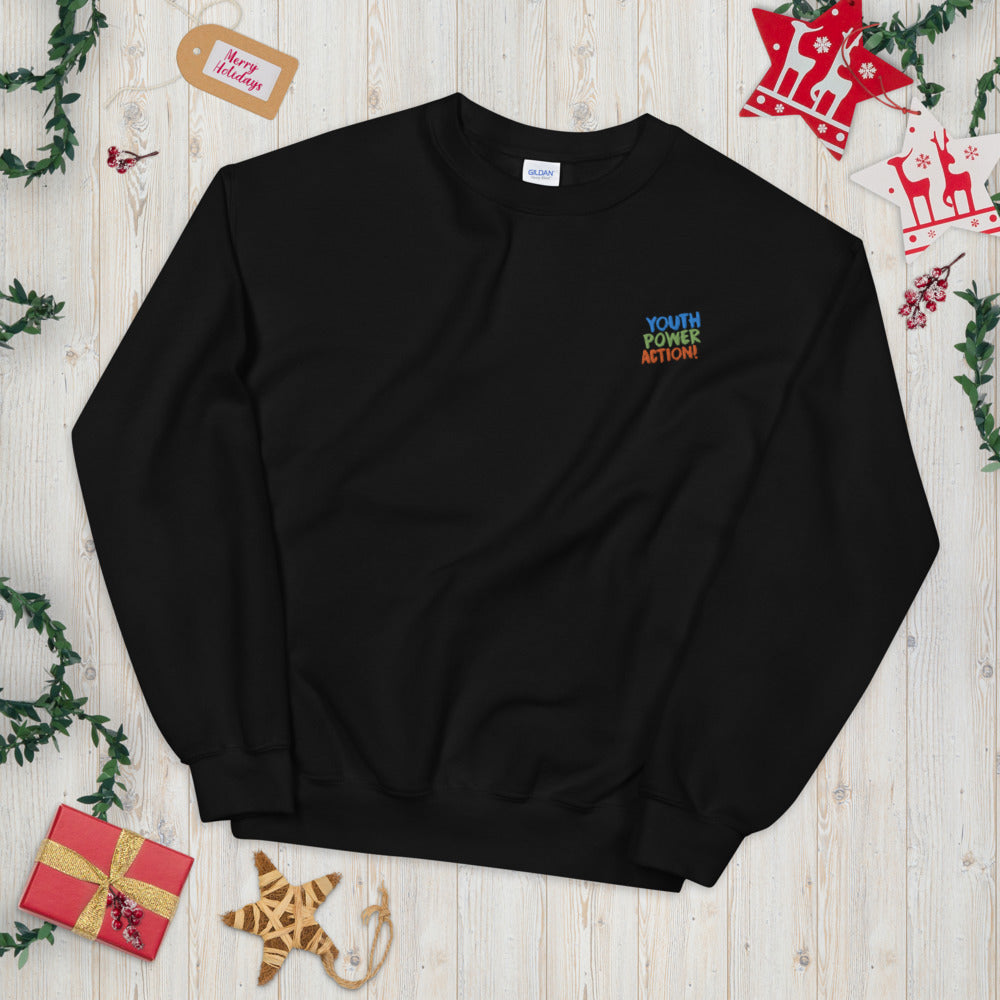 Youth Power Action Embroidered Pullover Crewneck Sweatshirt