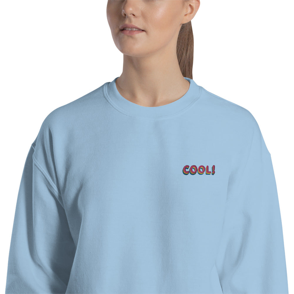 Cool Embroidered Pullover Crewneck Sweatshirt for Women