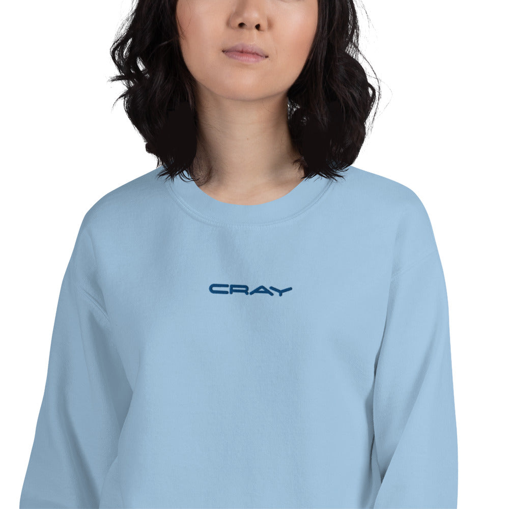 Cray Sweatshirt Embroidered Crazy Pullover Crewneck for Women