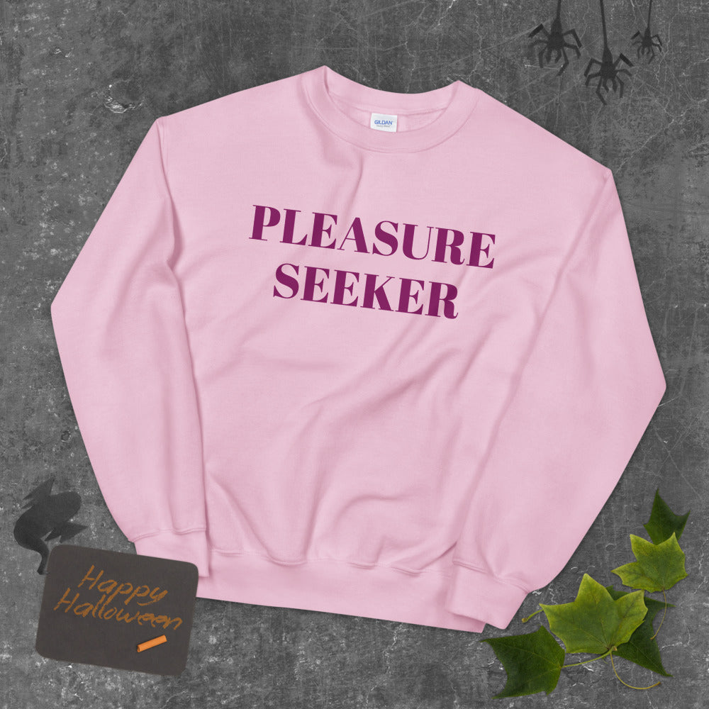Pink Pleasure Seeker Pullover Crew Neck Sweatshirt for Women
