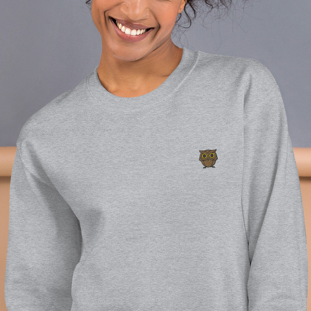 Embroidered Cute Owl Pullover Crewneck Sweatshirt for Women