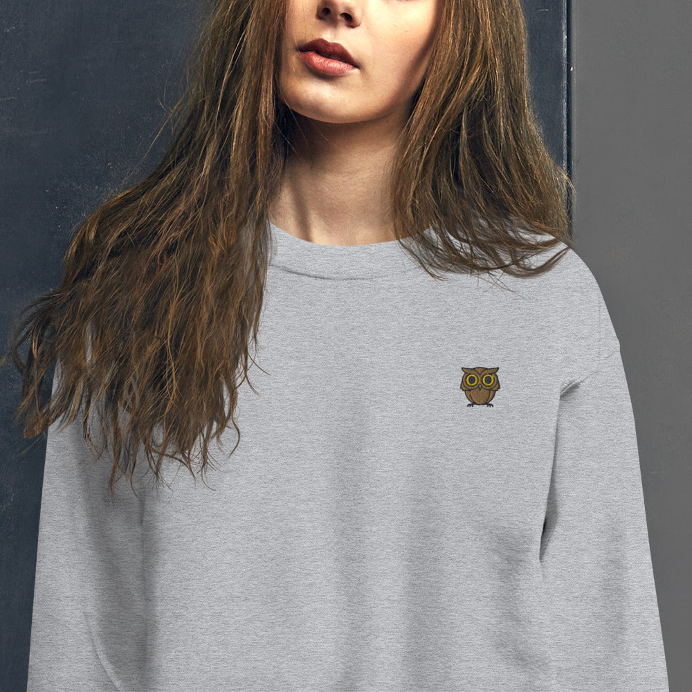 Embroidered Cute Owl Pullover Crewneck Sweatshirt for Women